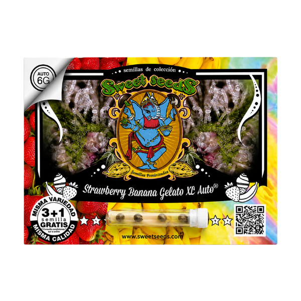 STRAWBERRY BANANA GELATO XL AUTO-SWEET SEEDS PACK 3+11