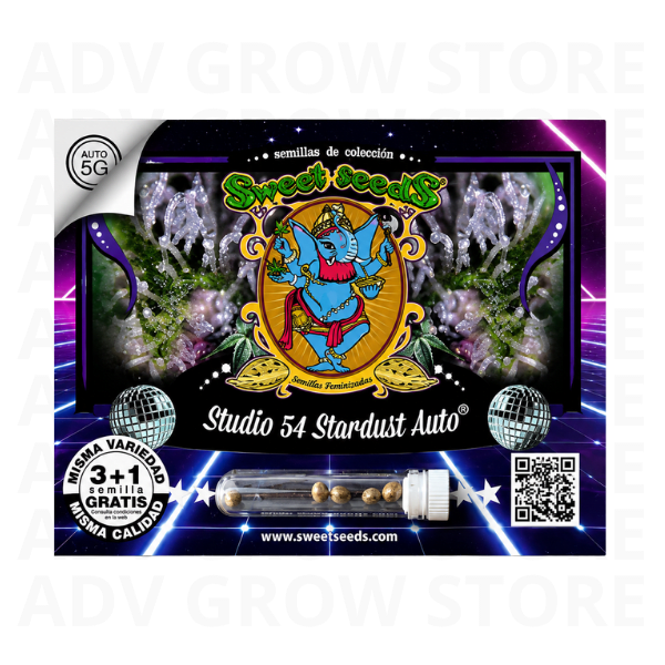 STUDIO 54 STARDUST AUTO-SWEET SEEDS1