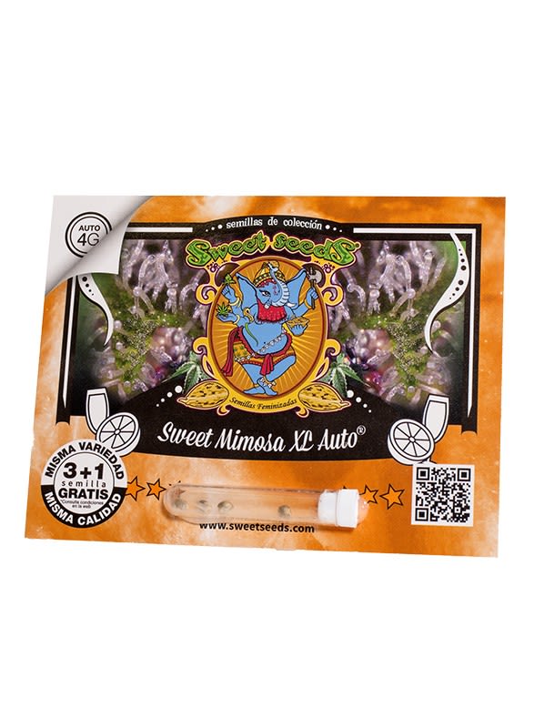 SWEET MIMOSA XL AUTO-SWEET SEEDS PACK 3+11