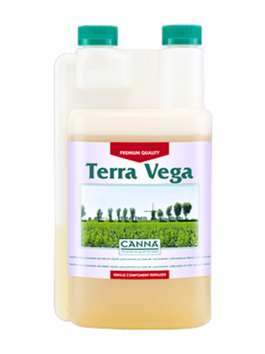 TERRA VEGA1