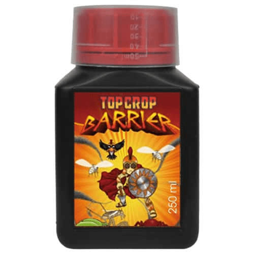TOP BARRIER1