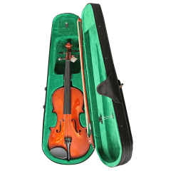 Viola Livorno lia-400w