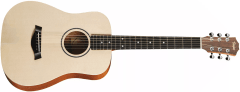 Taylor BT1e