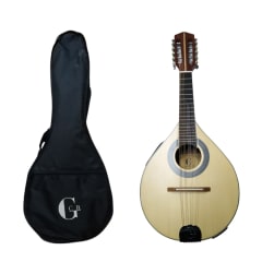 Mandolina Electroacústica GCR 10 cuerdas 4