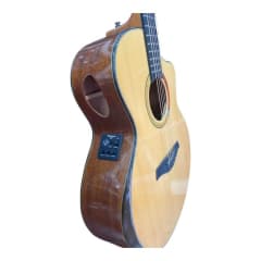 Guitarra Palmer Con Funda PF-40CEQN