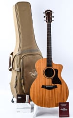 Taylor 24CE