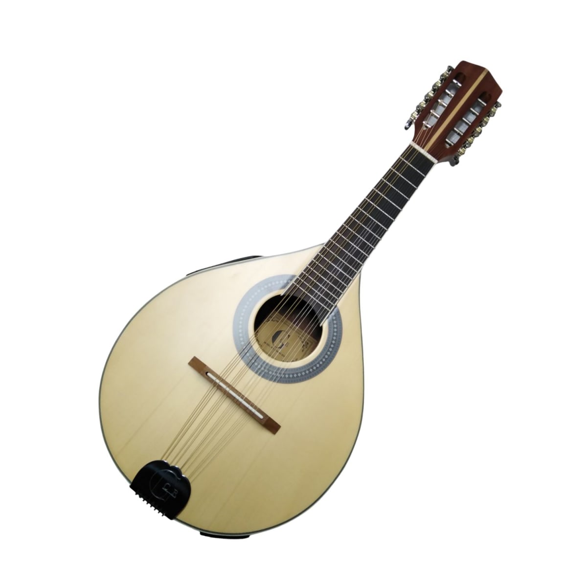 Mandolina Electroacústica GCR 10 cuerdas1