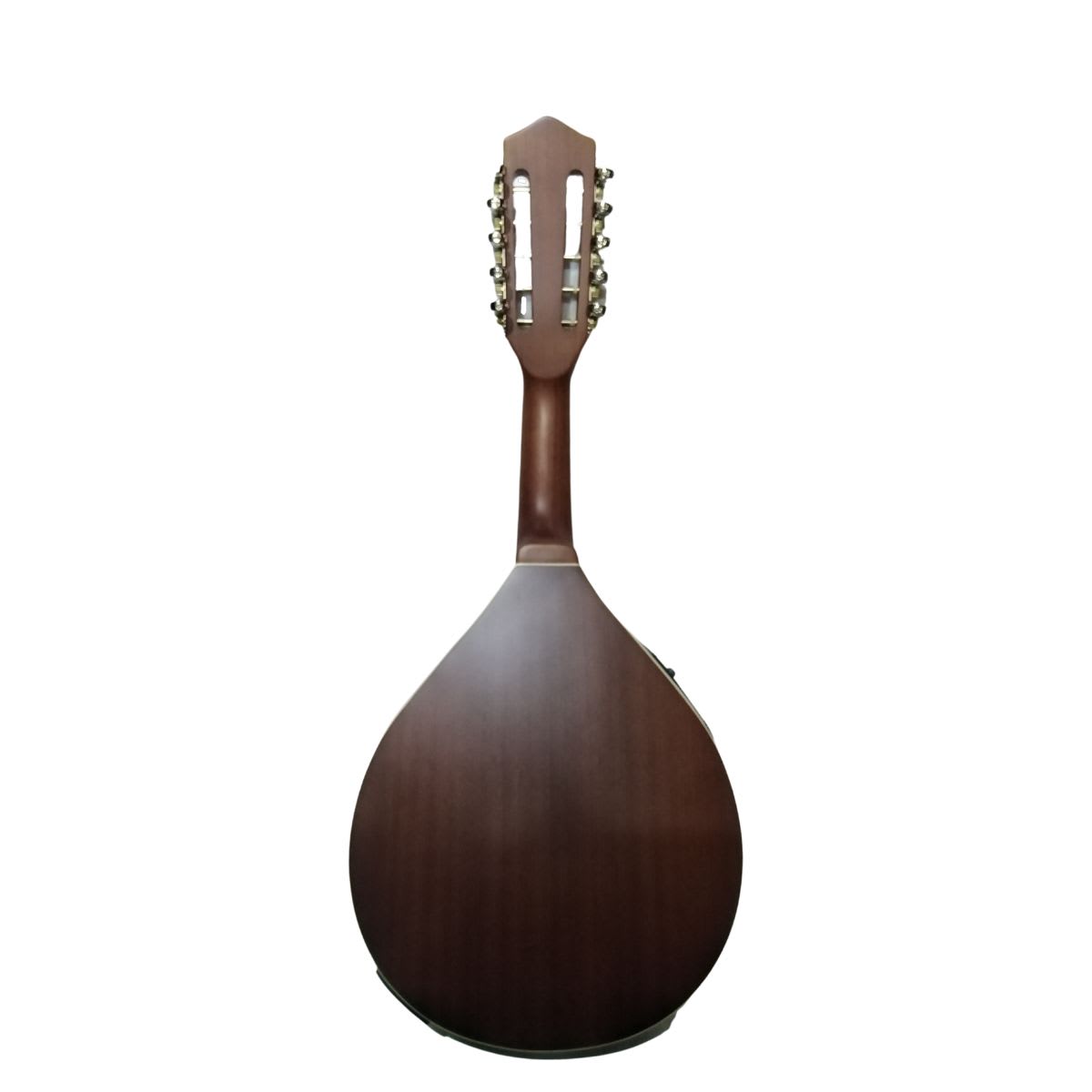 Mandolina Electroacústica GCR 10 cuerdas2