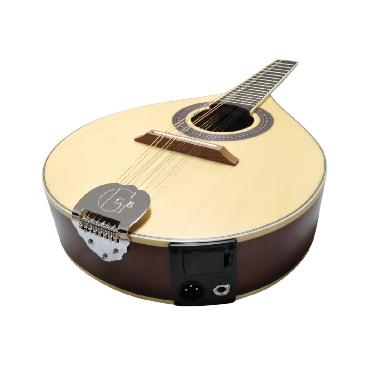 Mandolina Electroacústica GCR 10 cuerdas3