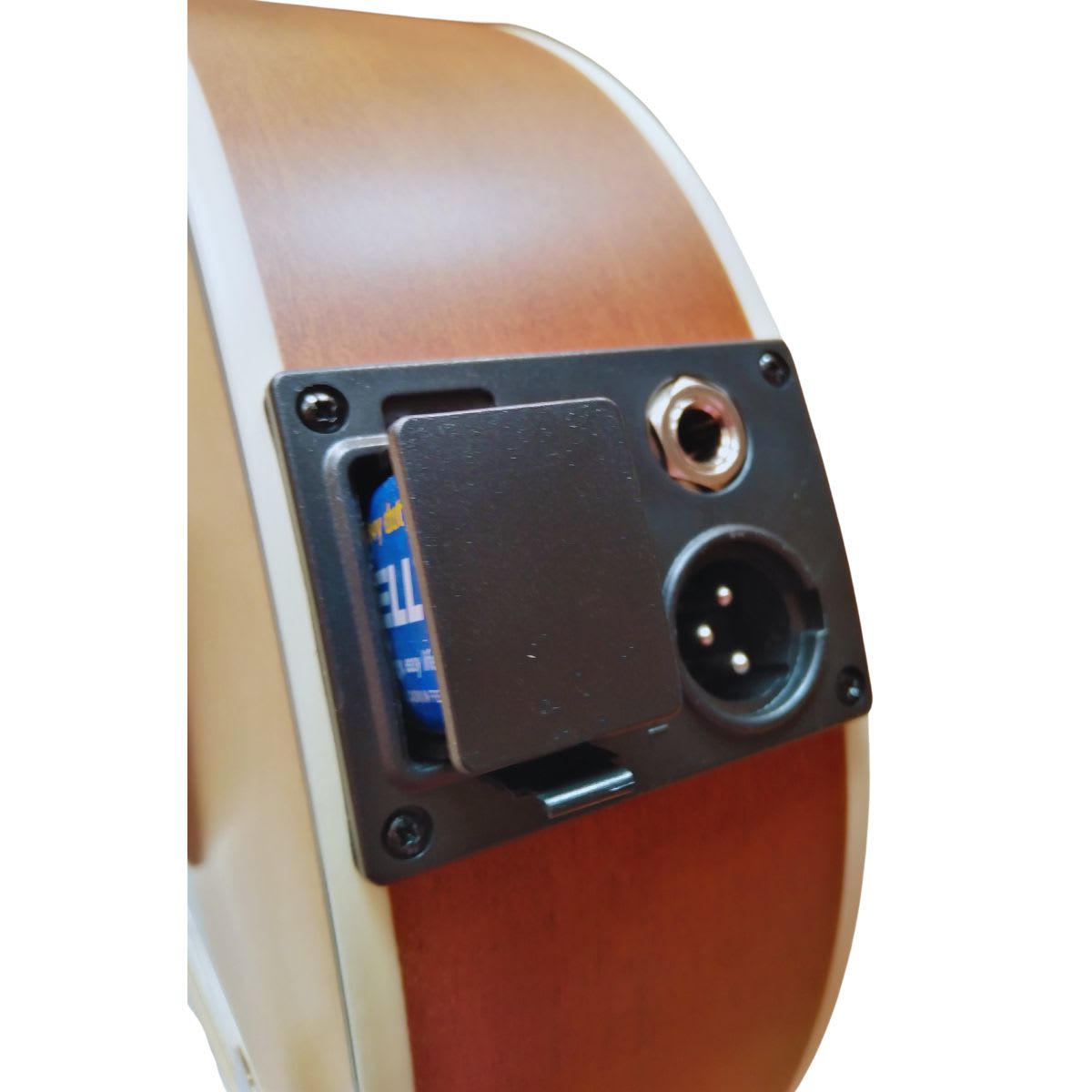 Mandolina Electroacústica GCR 10 cuerdas4