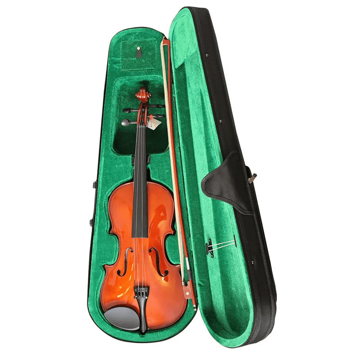 Viola Livorno lia-400w1