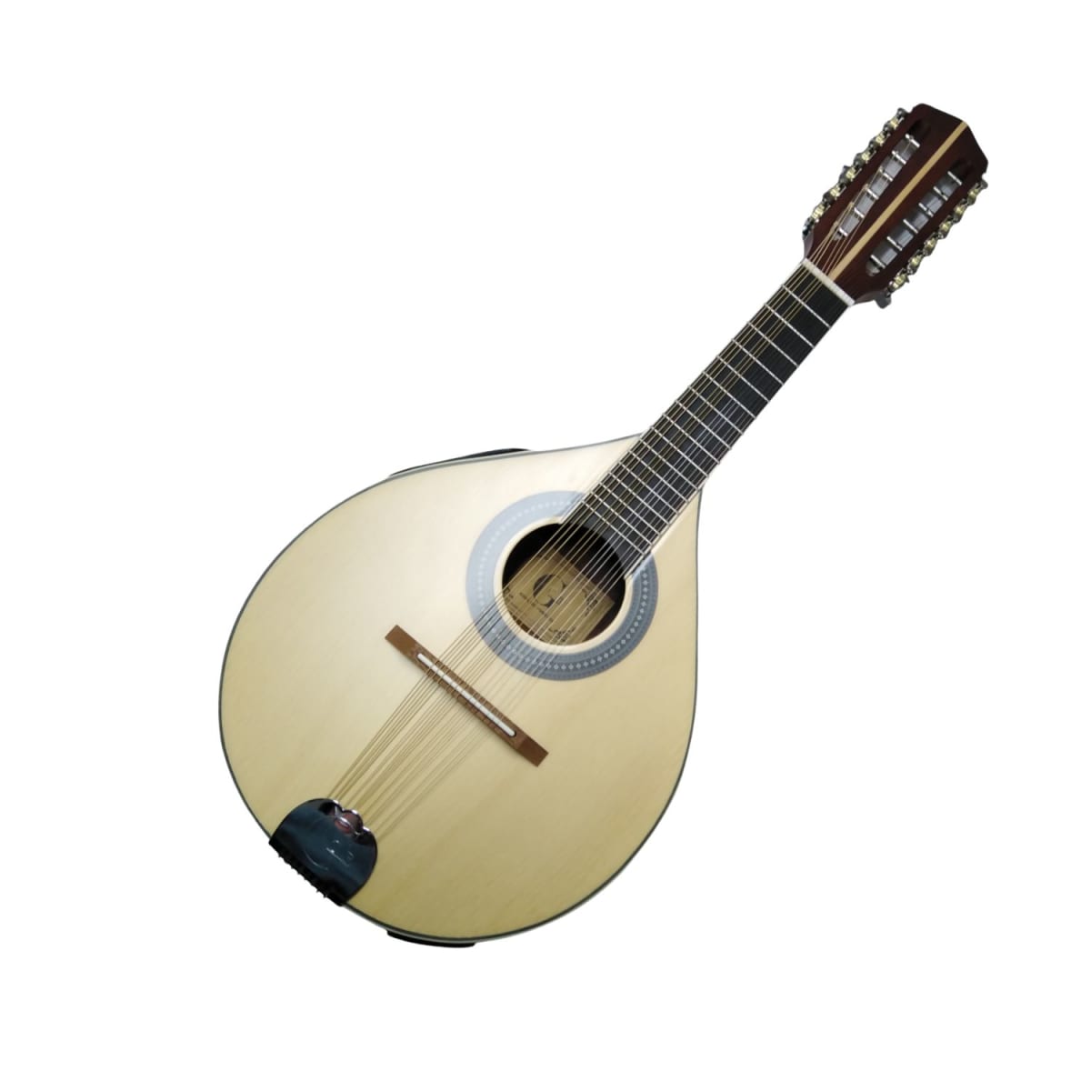 Mandolina Electroacústica GCR 12 cuerdas2