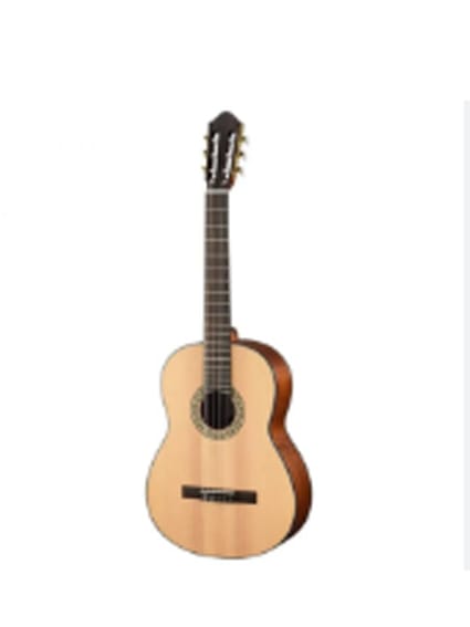 Guitarra Walden c/funda Nylon N550E1