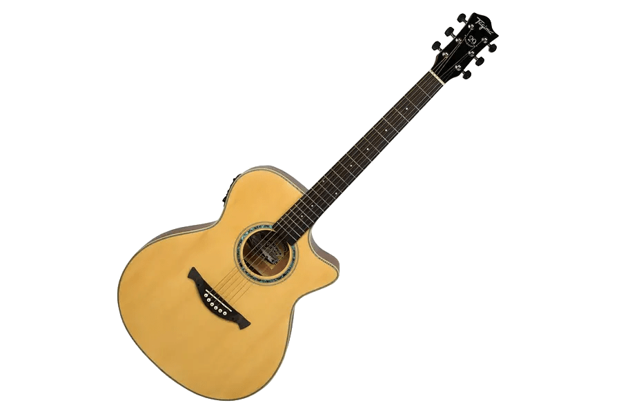 Tagima TW 29 Electroacústica1