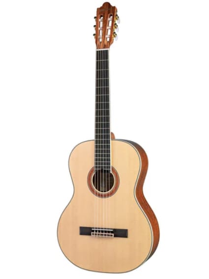 Guitarra WoodsTock Illescas1