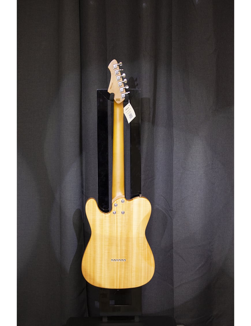 Guitarra Electrica Aria Pro II 615MK2 Tele Black Diamond1