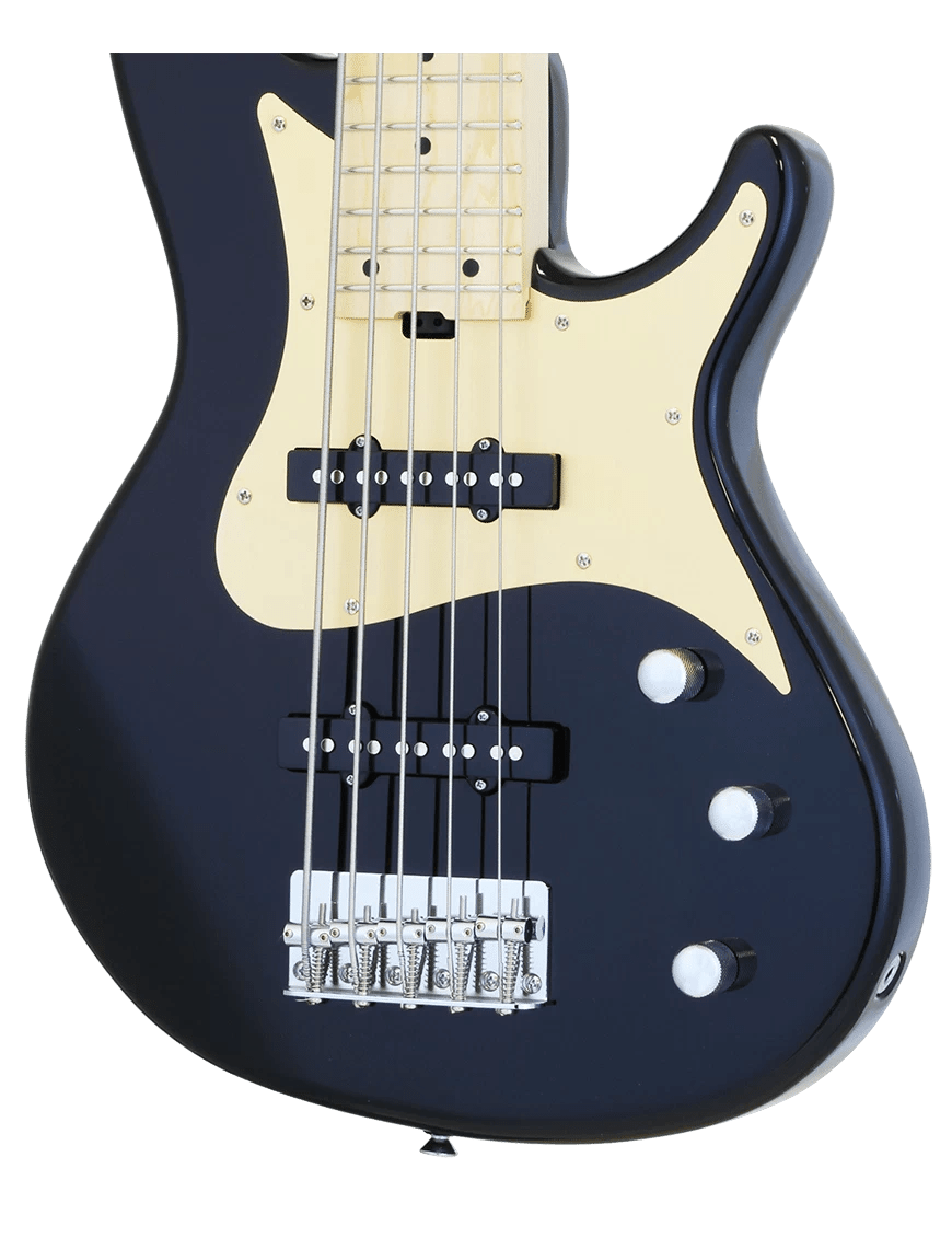 Aria Pro II RSB618 Black Bajo 5 cuerdas3