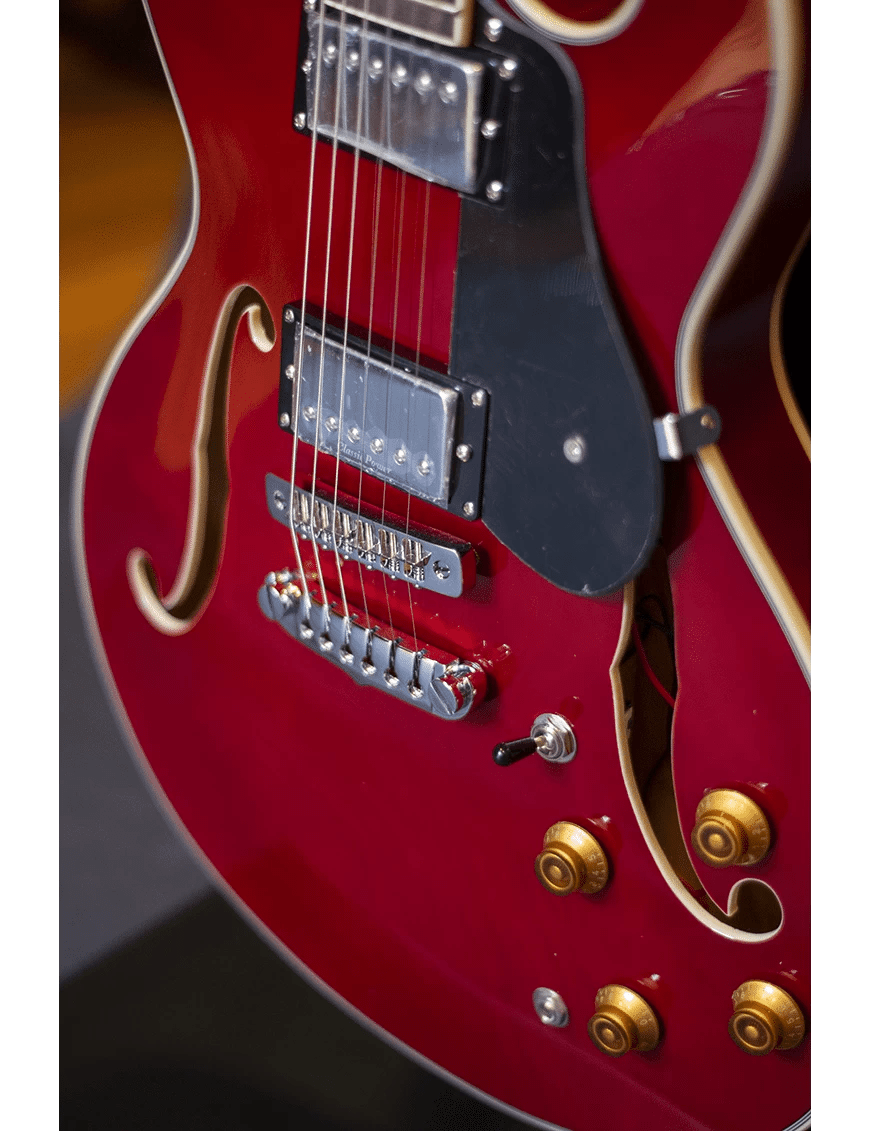 Aria Pro II Guitarra Eléctrica Semi-Hollow TA-CLASS 335 Style | Color: Wine Red1