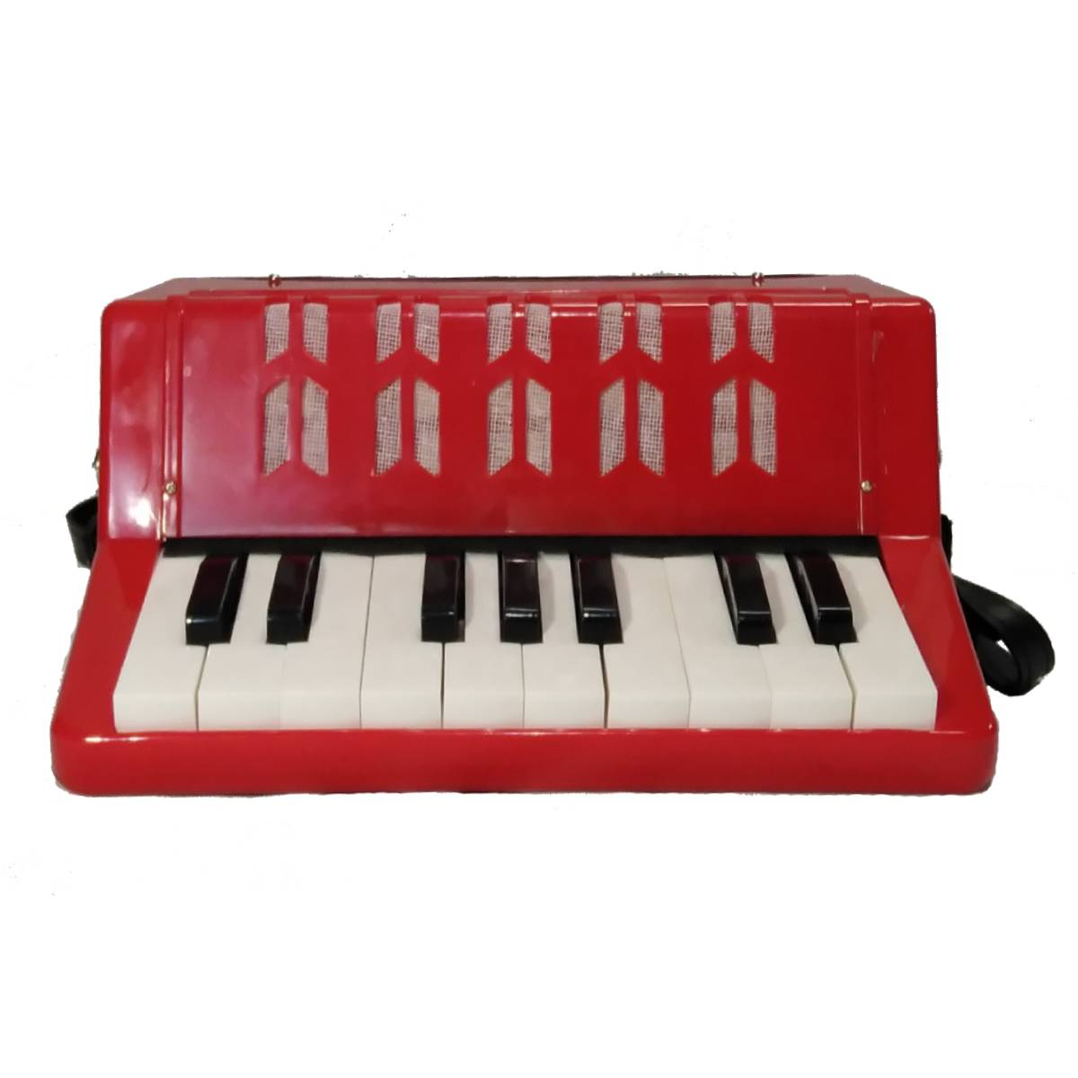 Acordeón para niños 17 llaves 8 bajos GCR K17082