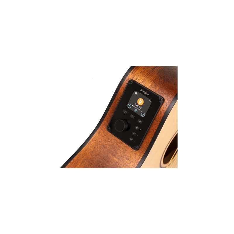 Guitarra acústica Cort Earth Go OP4