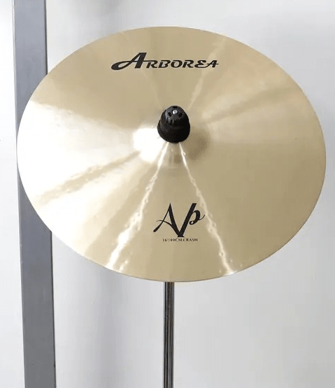 ARBOREA AP 16 Crash1