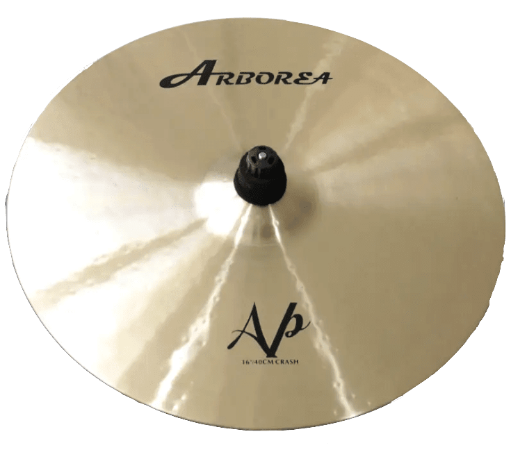 ARBOREA AP 16 Crash2