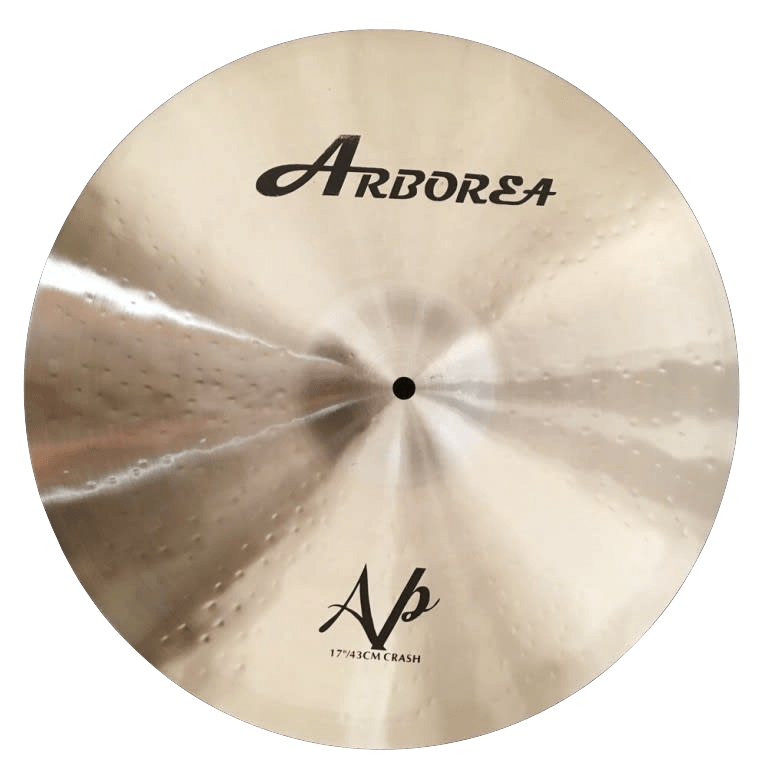 ARBOREA AP 17 Crash1