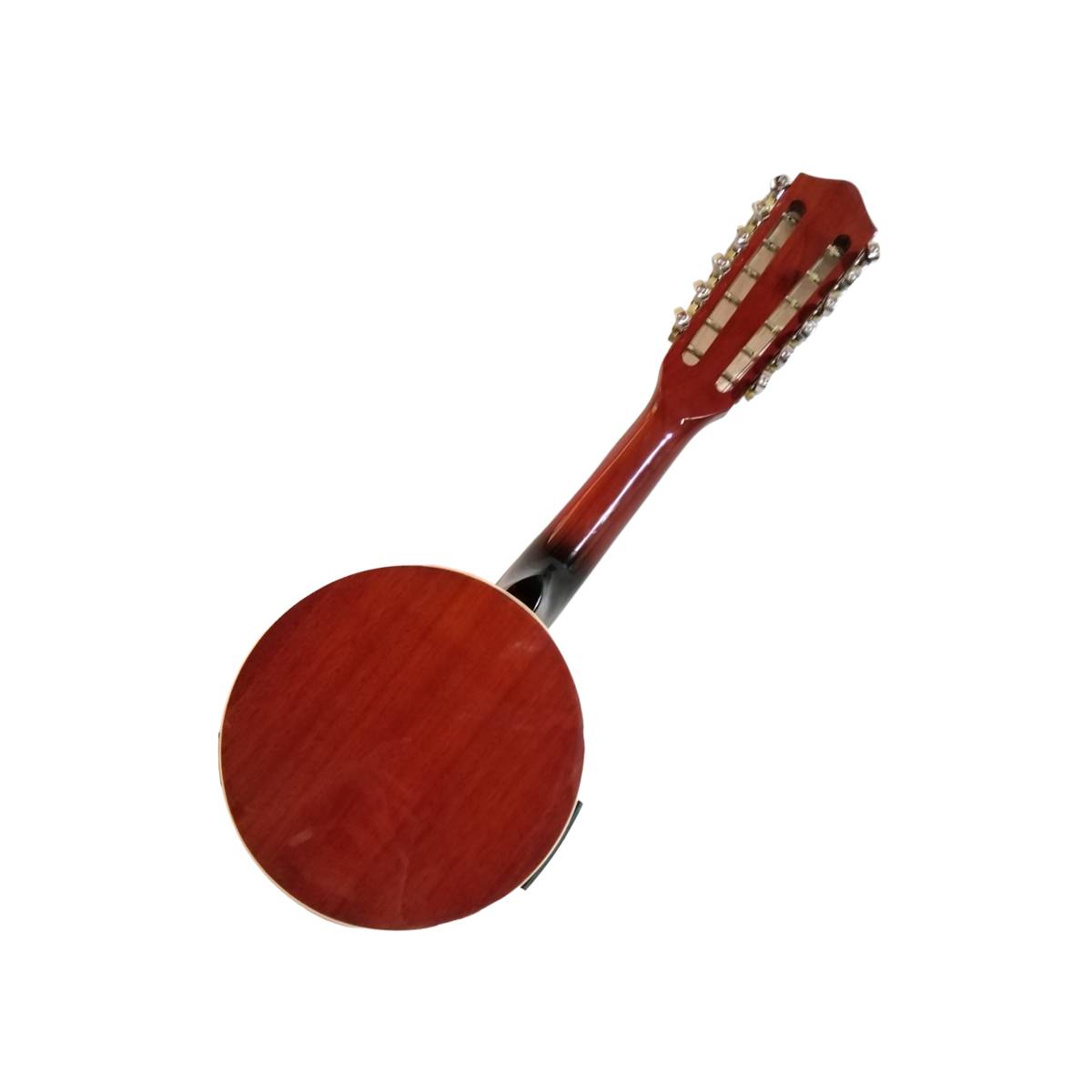 Banjo Electroacústico 12 cuerdas GCR2