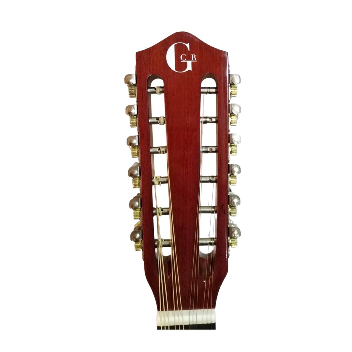 Banjo Electroacústico 12 cuerdas GCR4