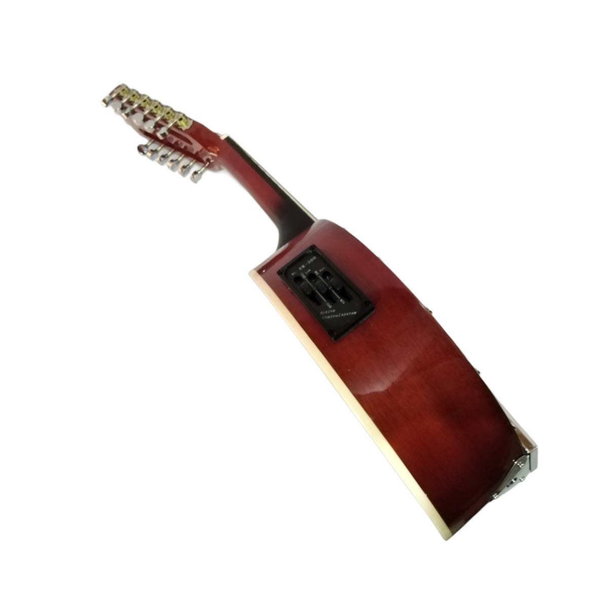 Banjo Electroacústico 12 cuerdas GCR5