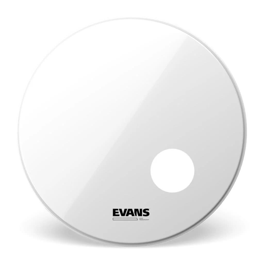 Evans 20 EQ31