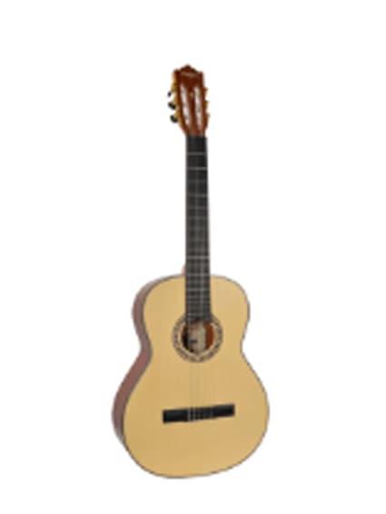Guitarra Clásica Palmer con funda1