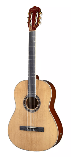 Guitarra Woodsoul S-SA391