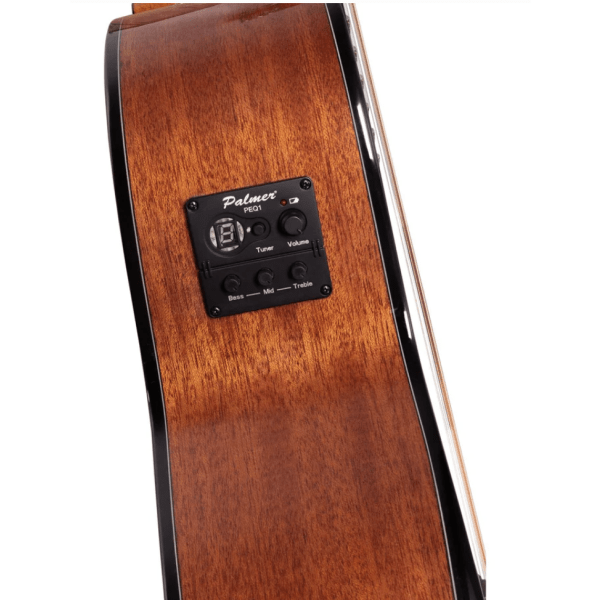 Guitarra Palmer Con Funda PF-31CEQN2