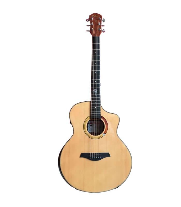 Guitarra Palmer Con Funda PF-40CEQNVP2