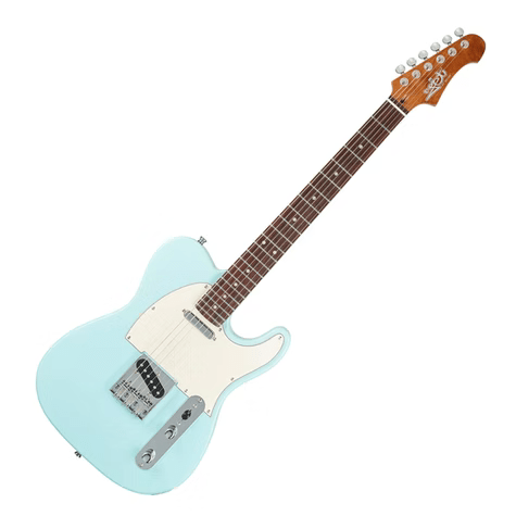 Jet Guitars JT300 BL R2