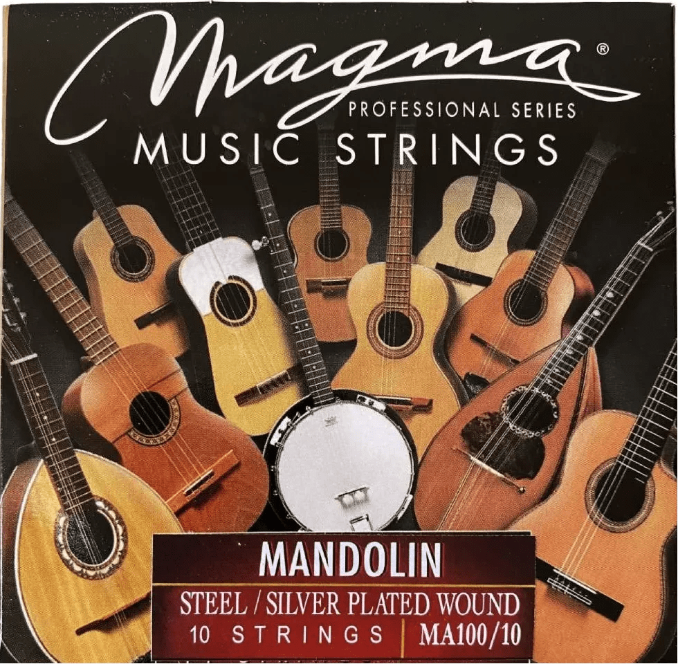 ENC MAGMA MANDOLINA 10C SILVER1