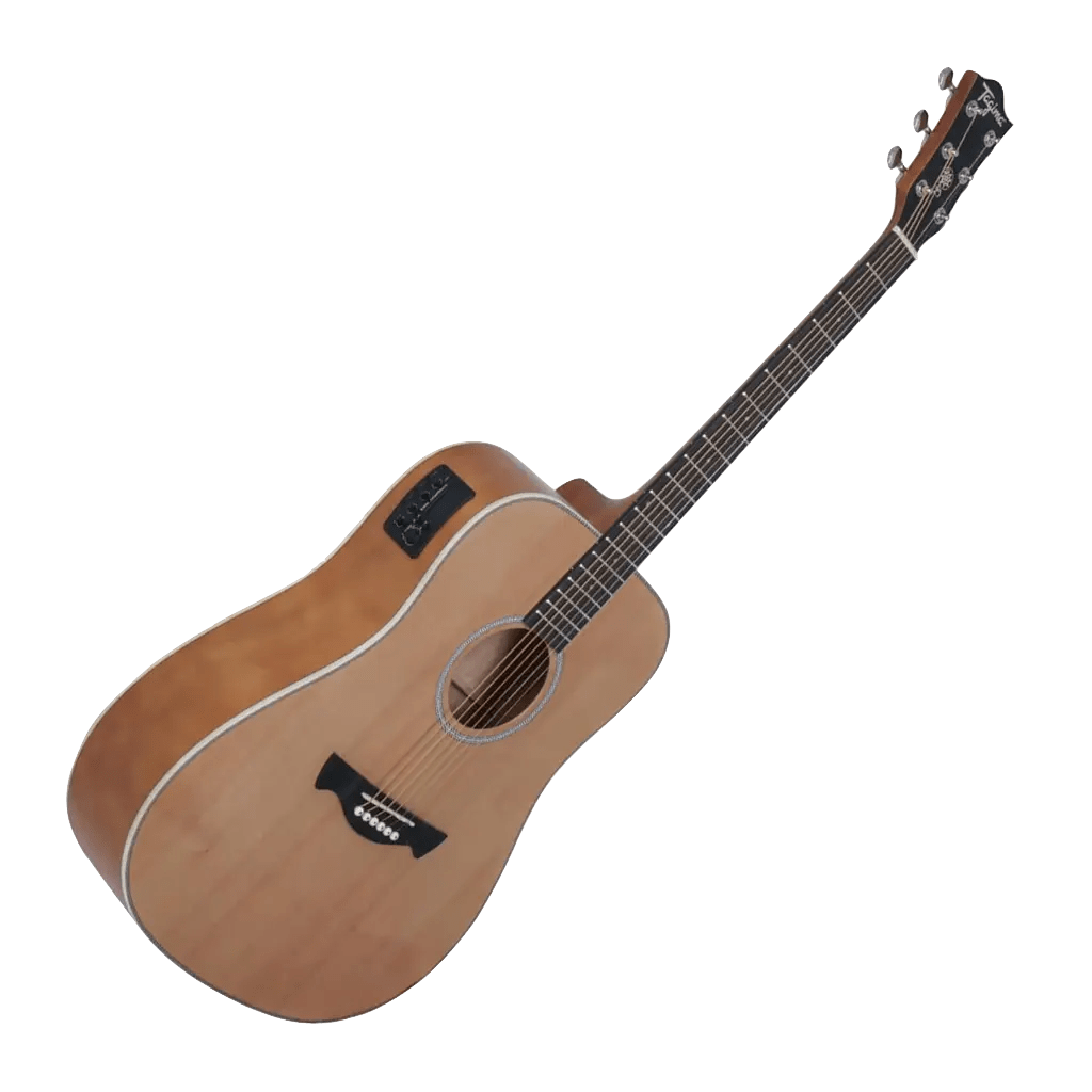 Tagima TW 25 Electroacústica1