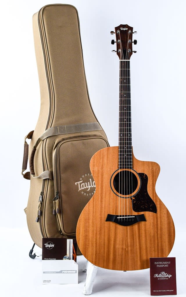Taylor 24CE1