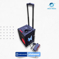 CALEFACCION COMPACTA PORTATIL 12V-24V/220W