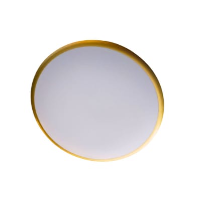 PANEL REDONDO MOON IP44 42W 6500K1