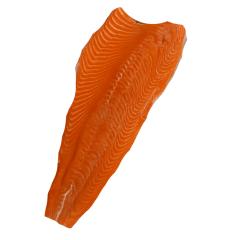 Filete Salmón Premium Sin Piel