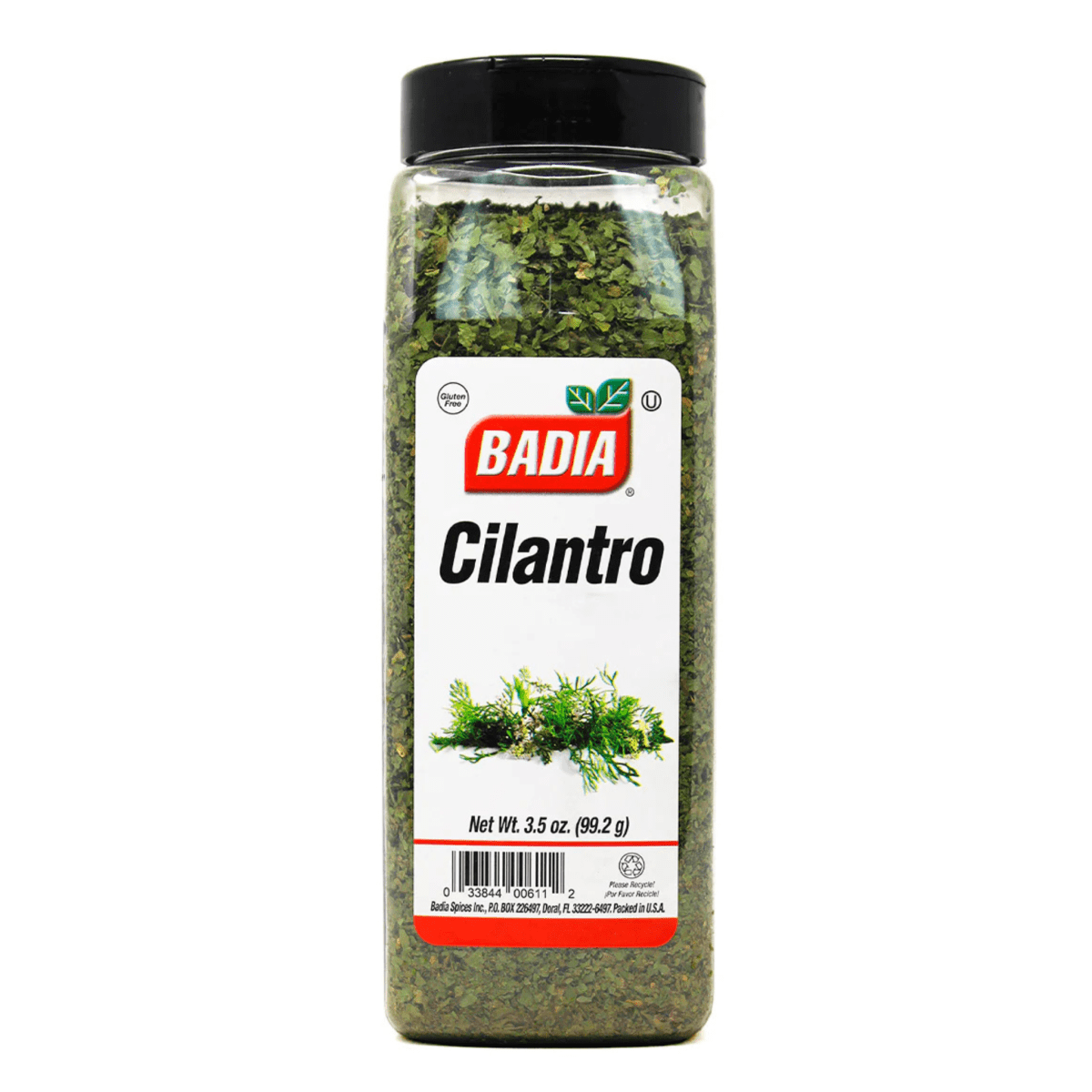 Cilantro 99g1