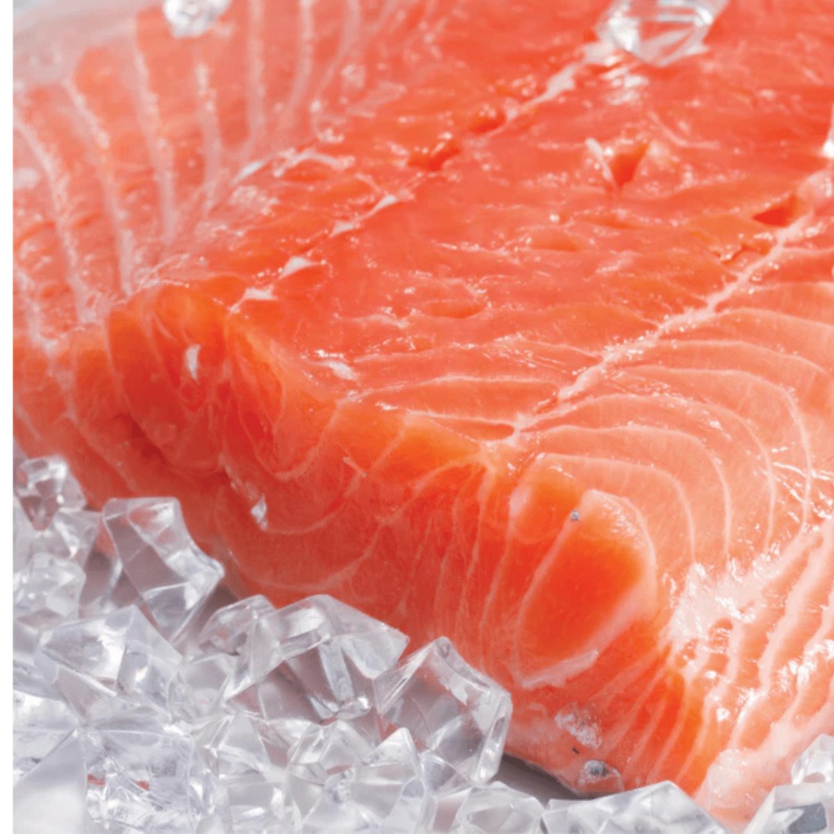 Filete Salmón Premium Sin Piel2