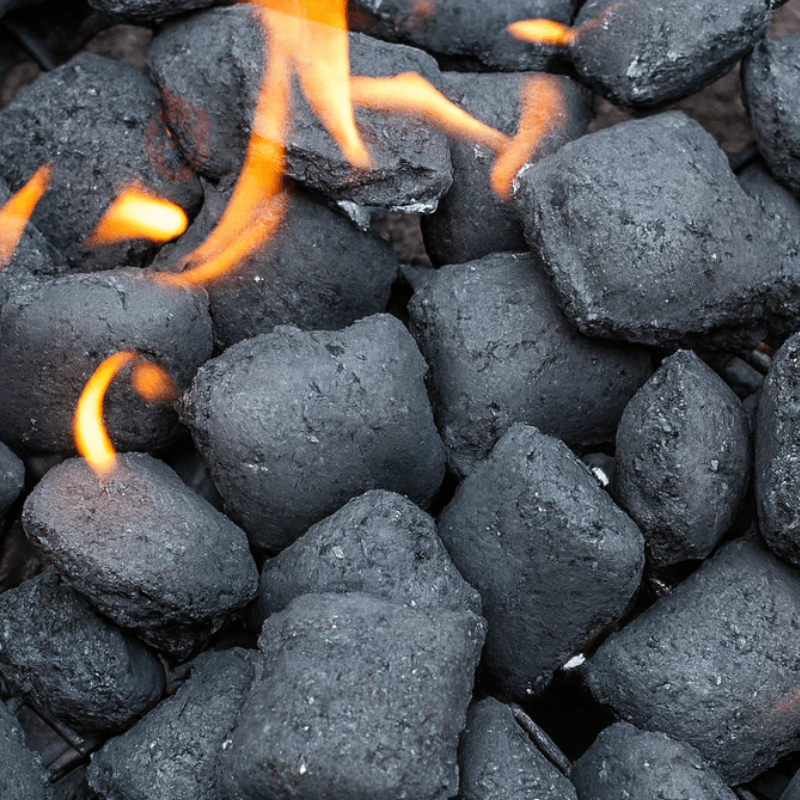 Briquetas de Carbón2