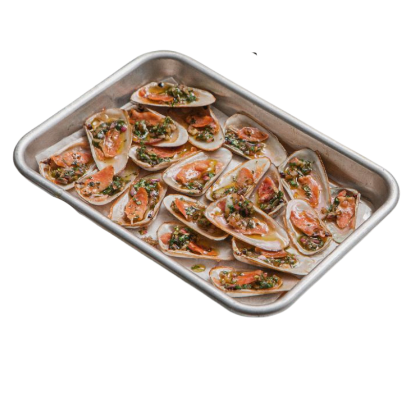 Machas Media Concha 20u2