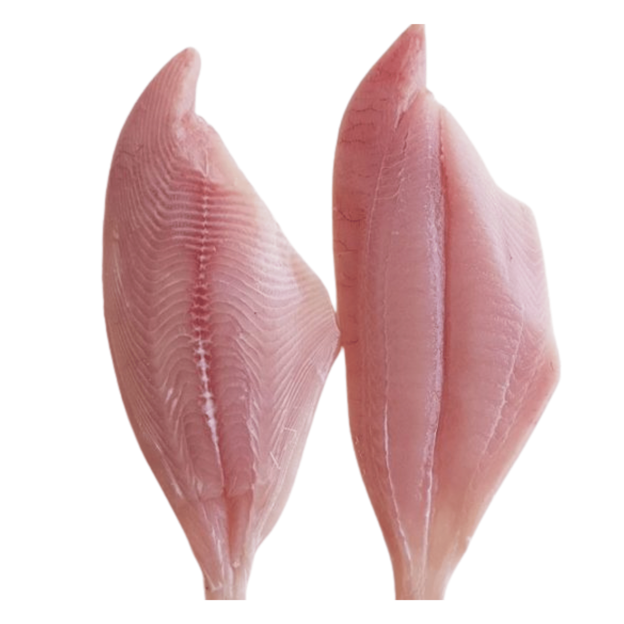 Filete Reineta 1 Kg