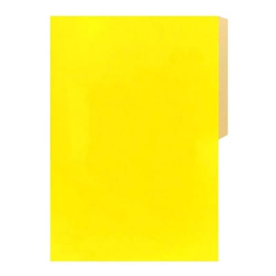 CARPETA DE CARTON HALLEY1