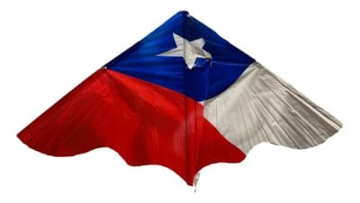 12 VOLANTIN COMETA PAJARO SURTIDO FIESTAS PATRIAS5