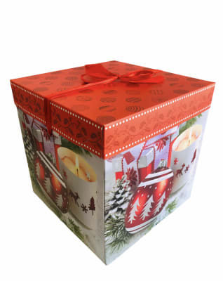 CAJAS PARA REGALO CON TAPA 22x22x22 CM F18364